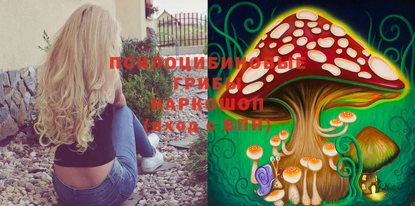 мдпв Баксан