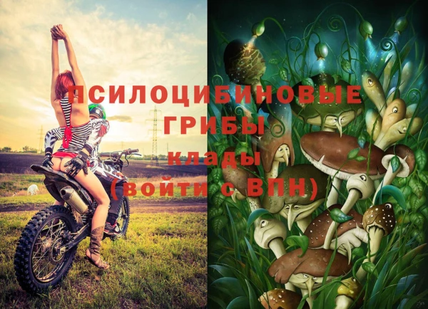 прущие крисы Балахна