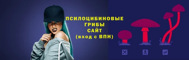 прущие крисы Балахна