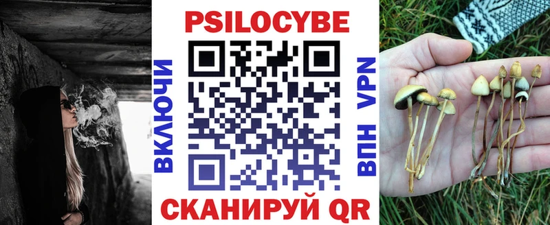Купить закладки  Богородск  Псилоцибиновые грибы мицелий 
